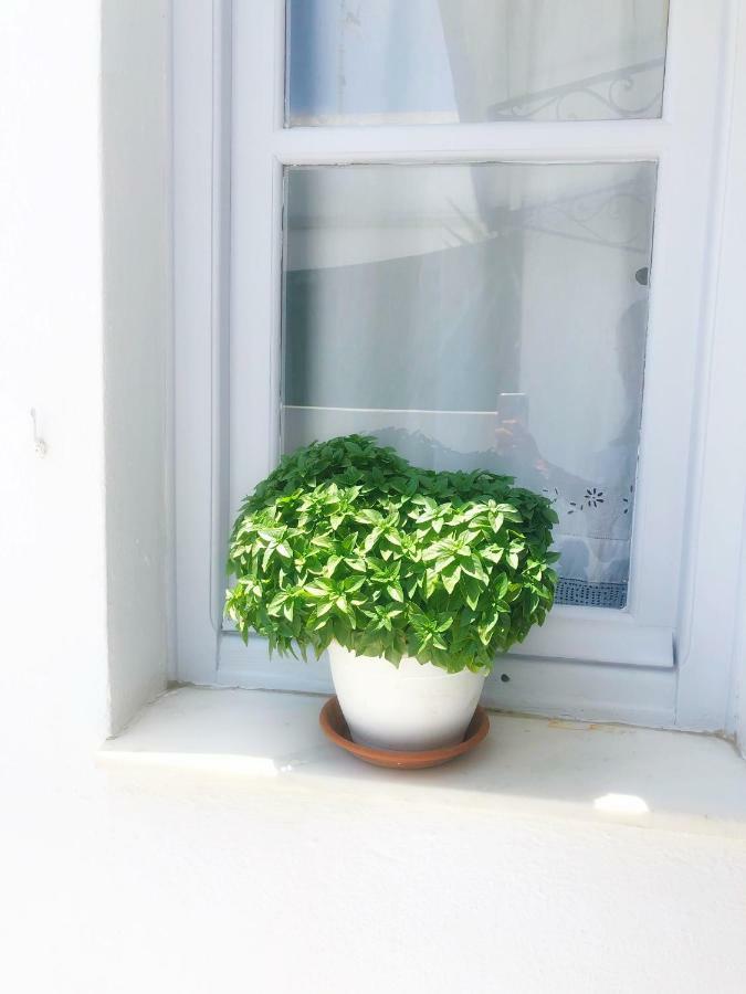 Kirki Rooms By The Sea ปาริเกีย ภายนอก รูปภาพ